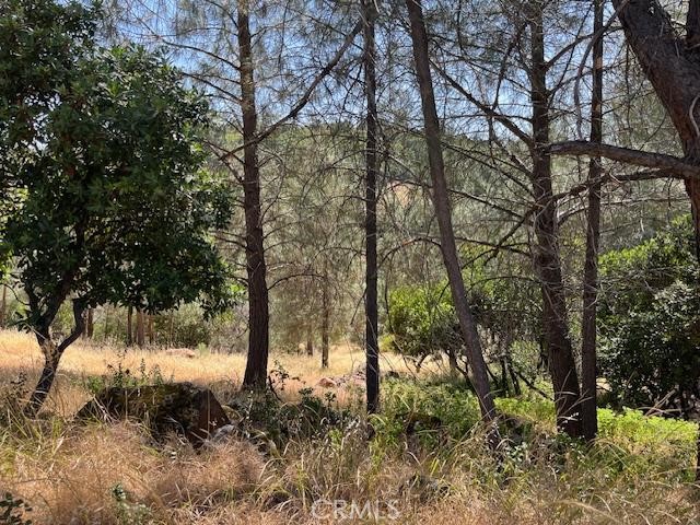 10353 Walnut Way, Kelseyville