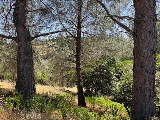 10353 Walnut Way, Kelseyville