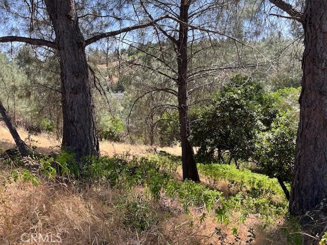 10353 Walnut Way, Kelseyville