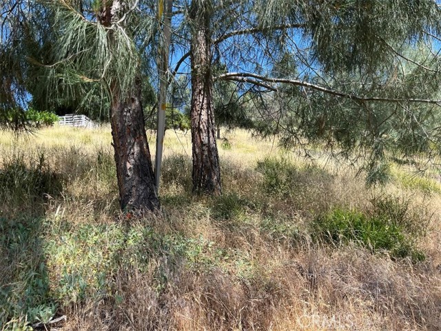 6925 Echo Drive, Kelseyville