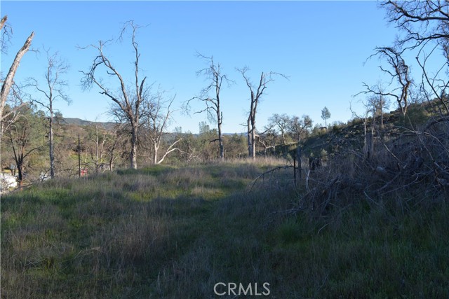 3515 Spring Valley rd, Clearlake Oaks