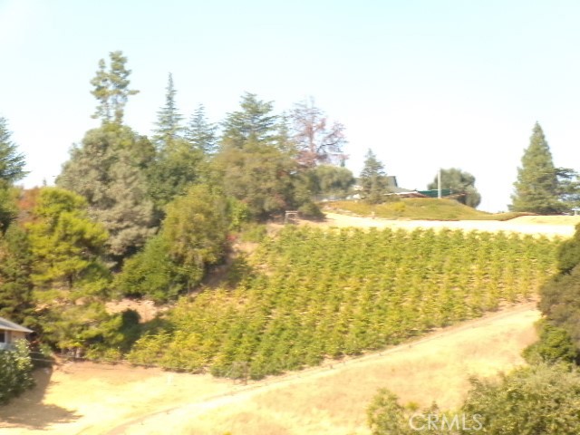 10450 Sunset Ridge Drive, Kelseyville