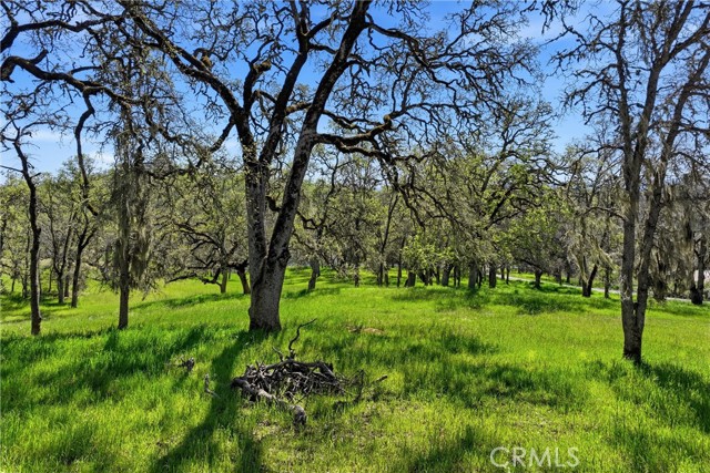 726 Park, Lakeport