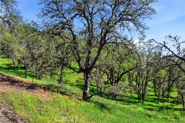 726 Park, Lakeport