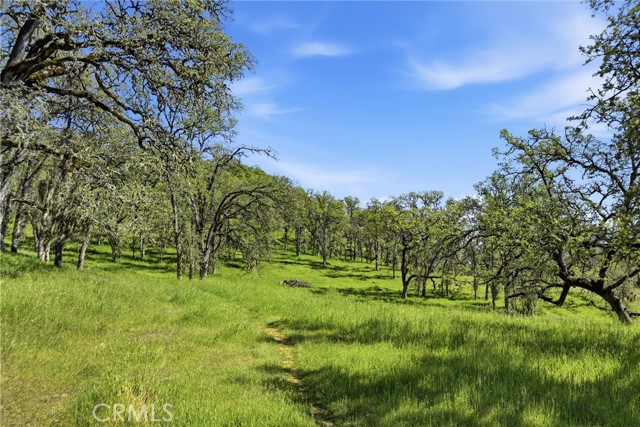 726 Park, Lakeport