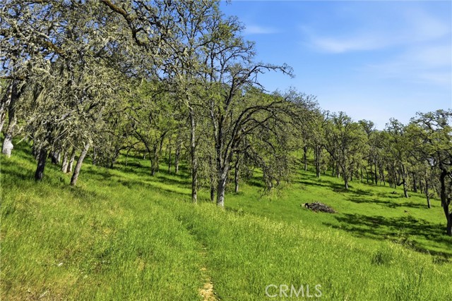 726 Park, Lakeport