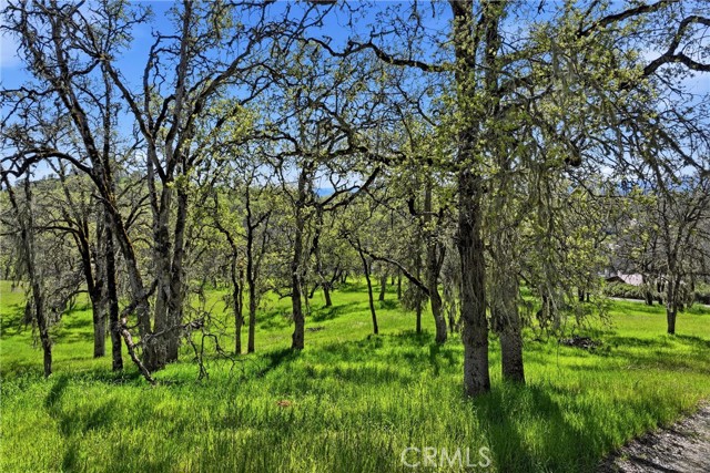 726 Park, Lakeport
