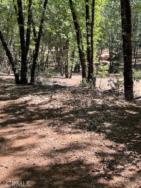 9208 Diamond Dust, Kelseyville