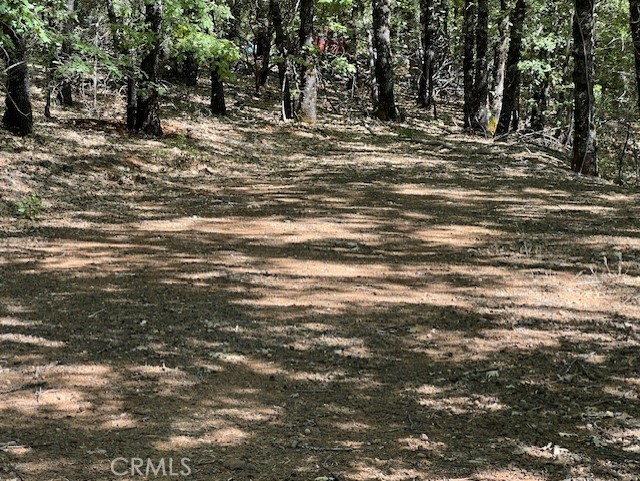 9208 Diamond Dust, Kelseyville