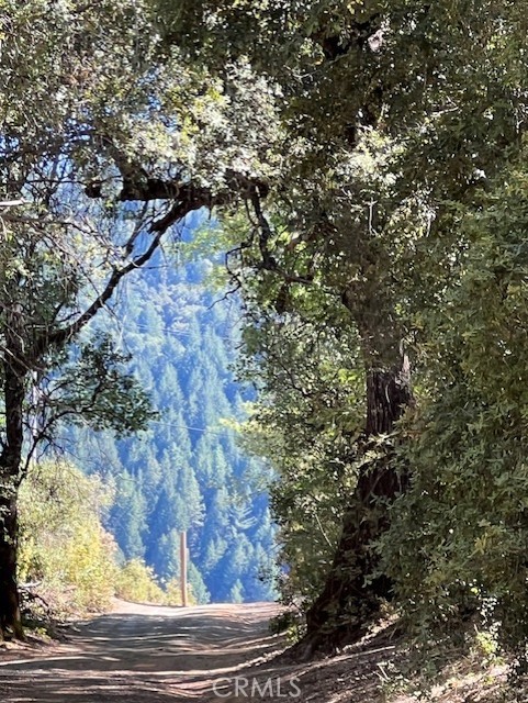 9208 Diamond Dust, Kelseyville