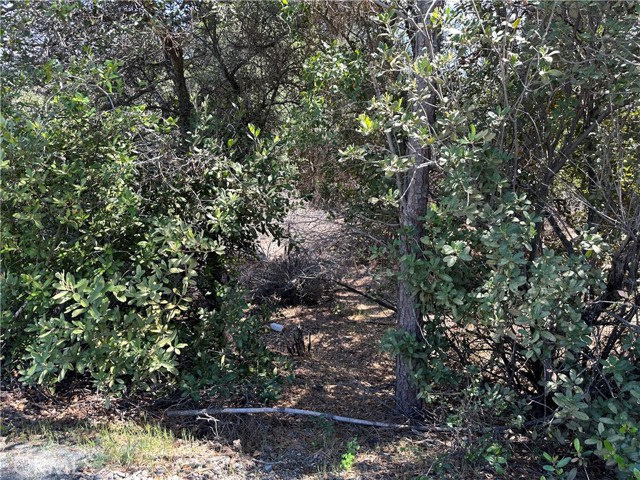 12361 Cerrito, Clearlake Oaks