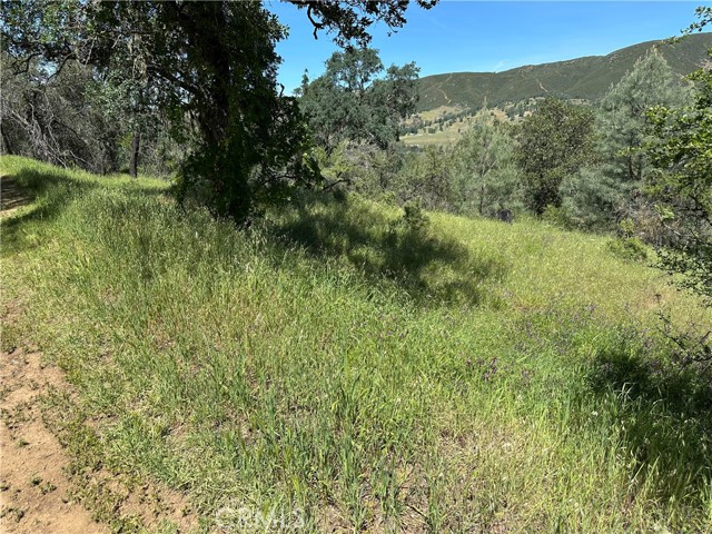 12939 Hill, Clearlake