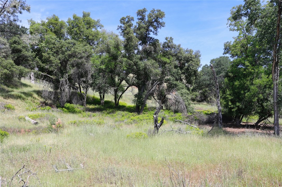 3168 Oak Crest, Clearlake