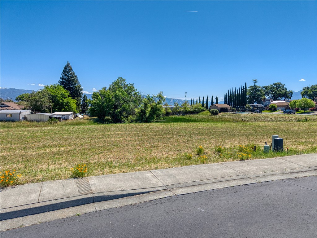 2770 Lizzy Lane, Lakeport