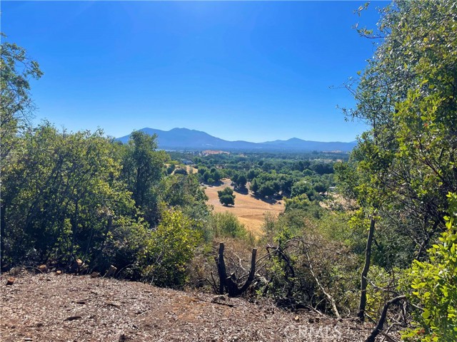 1985 Bastian Court, Lakeport