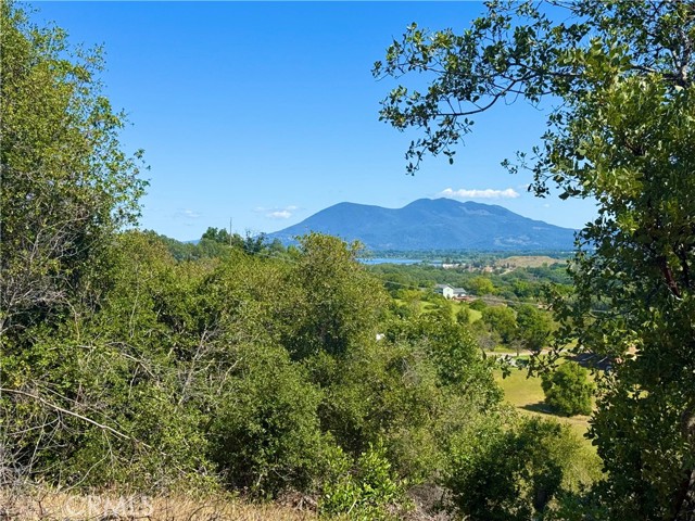 1985 Bastian Court, Lakeport