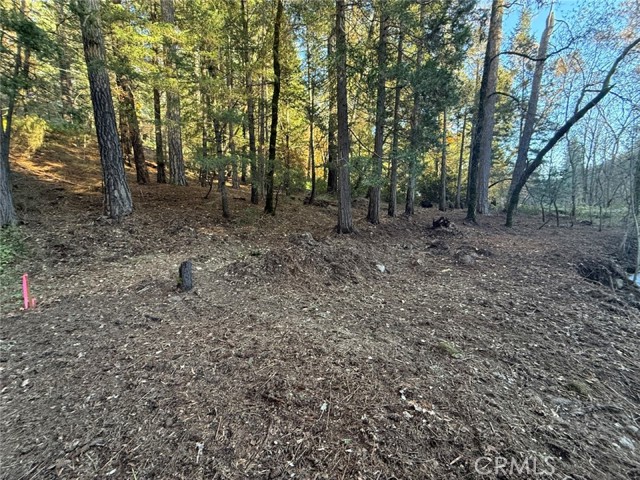 15905 Rainbow Drive, Cobb