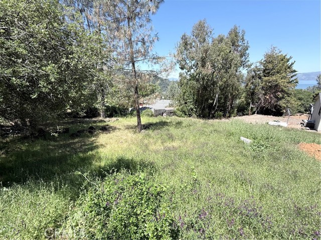 3630 Westridge Court, Kelseyville