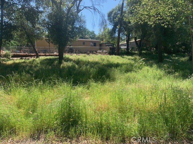 14245 Woodland, Clearlake