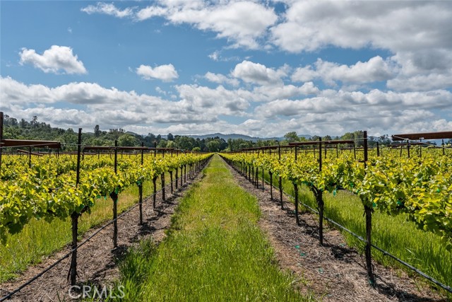 4500 Clark, Kelseyville