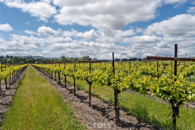 4500 Clark, Kelseyville