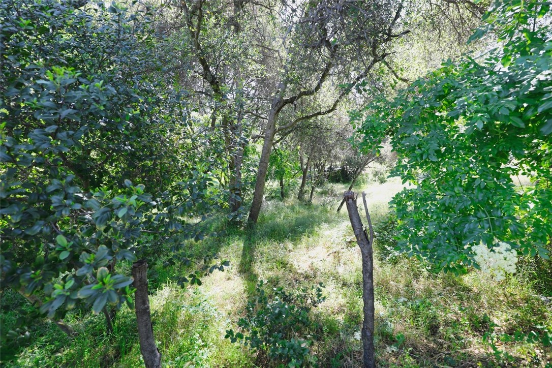 3312 9th, Clearlake