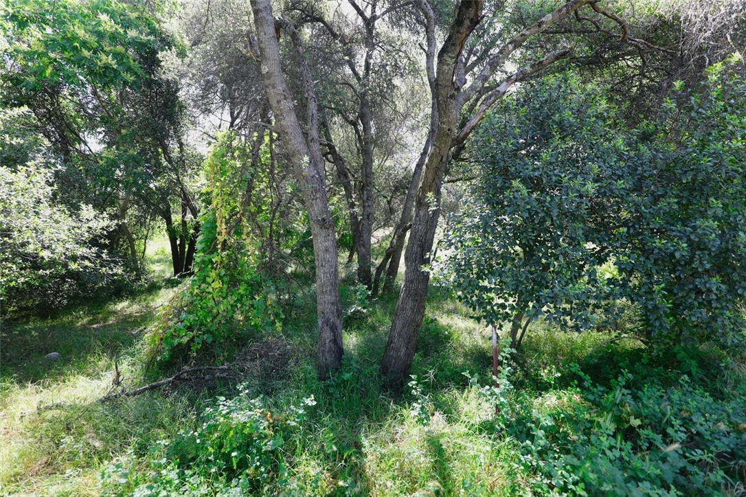3312 9th, Clearlake