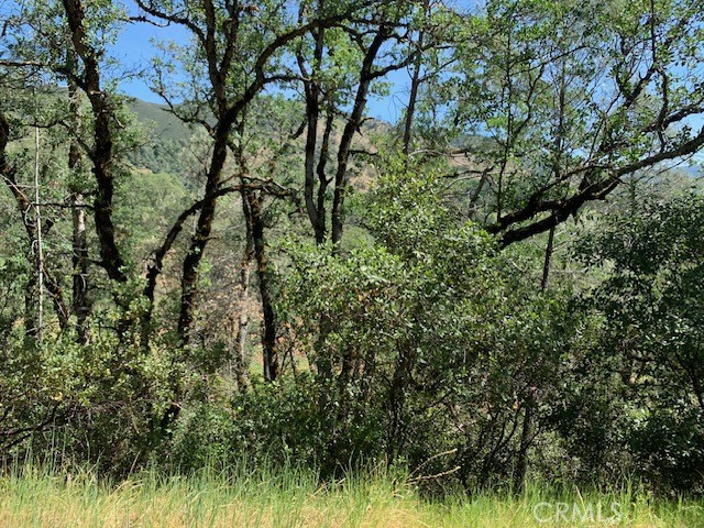 7268 Shasta, Nice