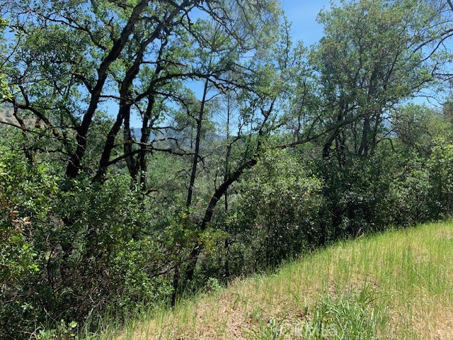 7268 Shasta, Nice