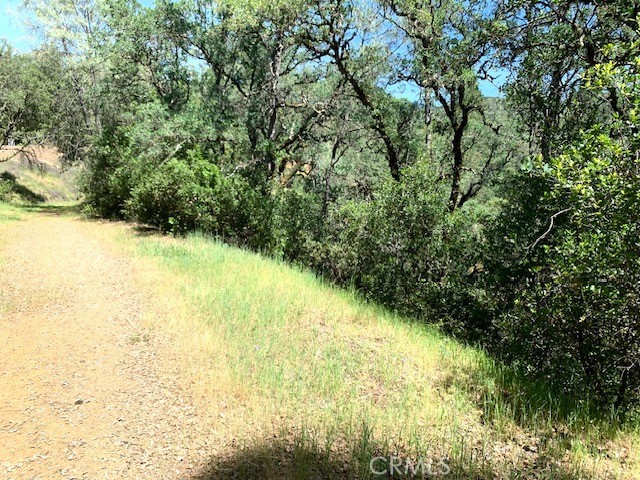 7268 Shasta, Nice