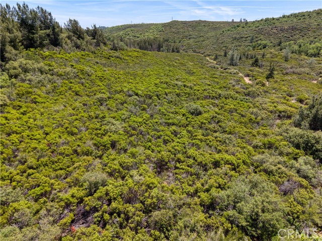 11619 Diener Drive, Lower Lake