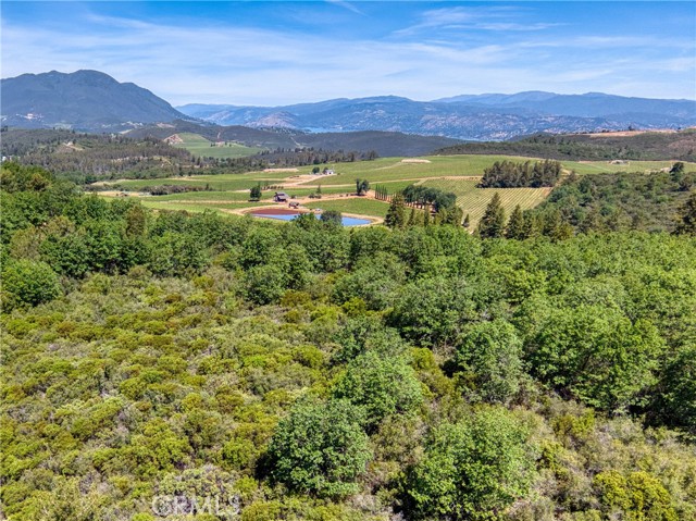 11619 Diener Drive, Lower Lake