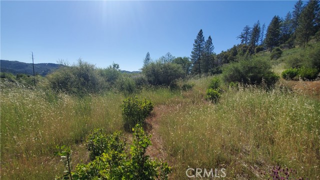9334 Bleuss Way, Cobb