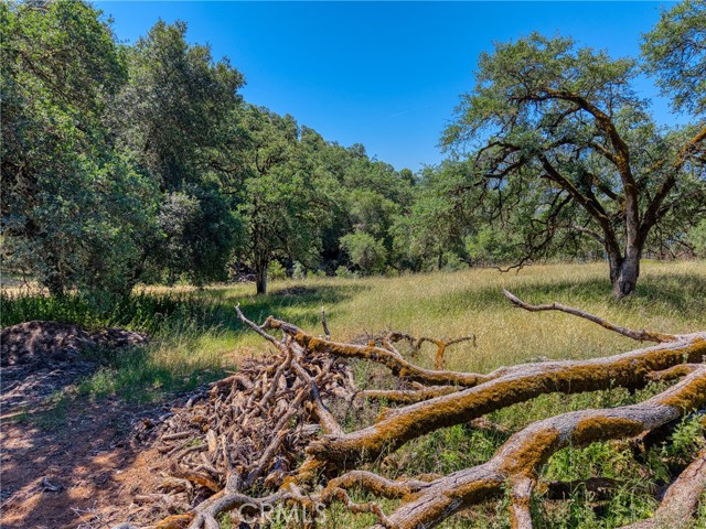 8520 E Highway 20, Lucerne
