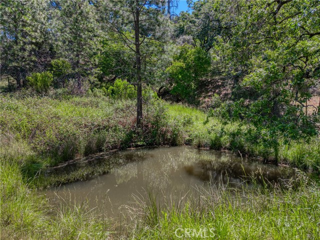 8520 E Highway 20, Lucerne