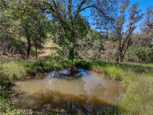 8520 E Highway 20, Lucerne