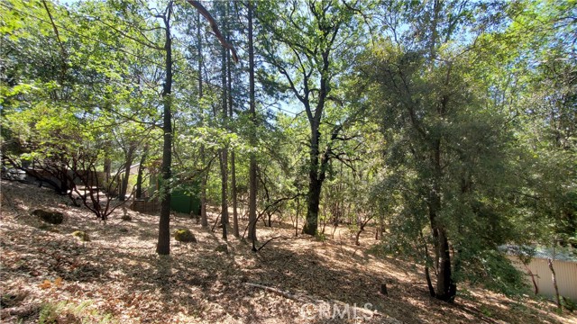 11545 Loch Lomond Road, Loch Lomond