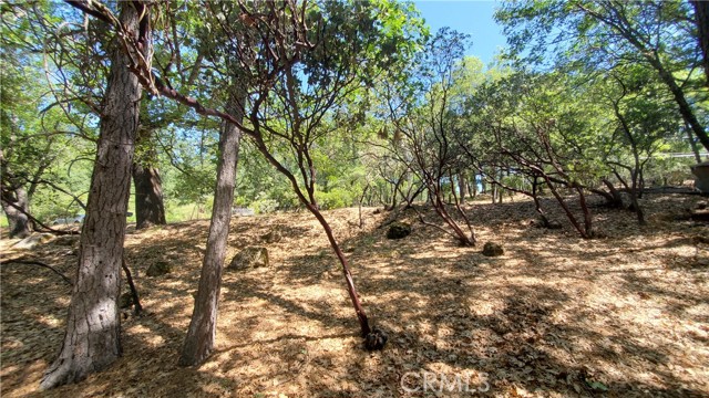 11545 Loch Lomond Road, Loch Lomond