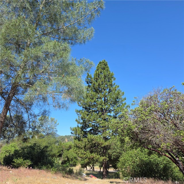 3367 3rd Street, Clearlake