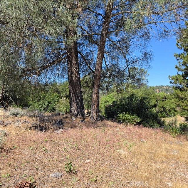 3367 3rd Street, Clearlake