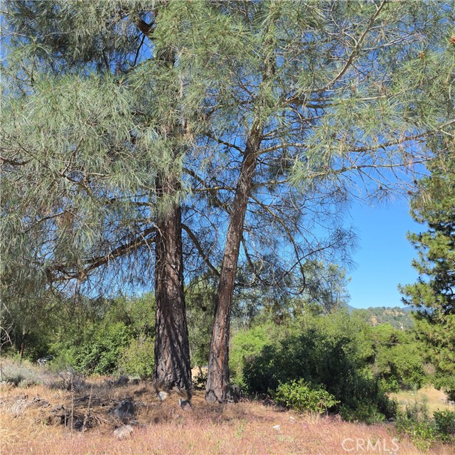 3367 3rd Street, Clearlake