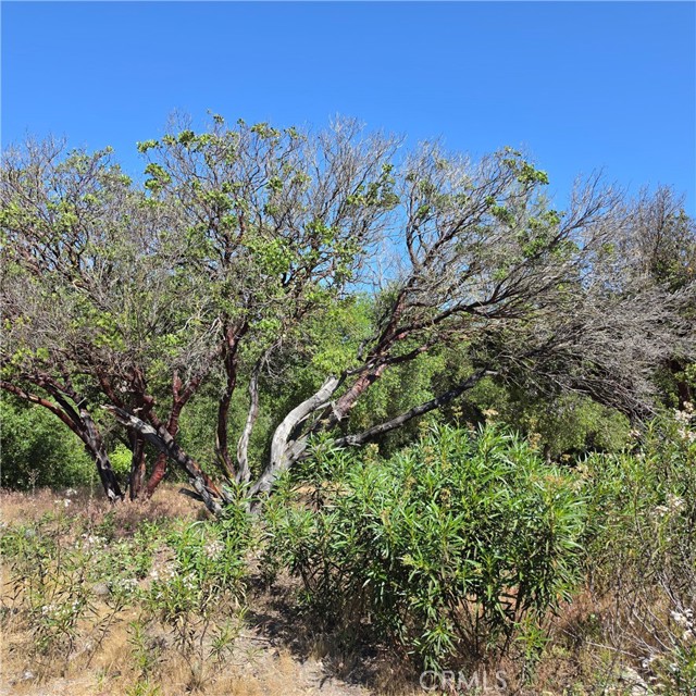 3367 3rd Street, Clearlake