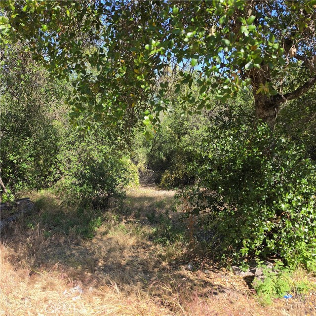 3367 3rd Street, Clearlake