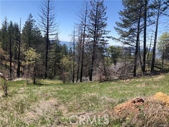 6847 High Valley, Lucerne