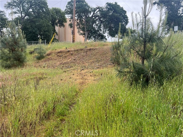 2995 Oak Crest Drive, Clearlake