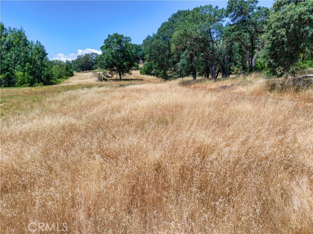 2447 Hartley Street, Lakeport