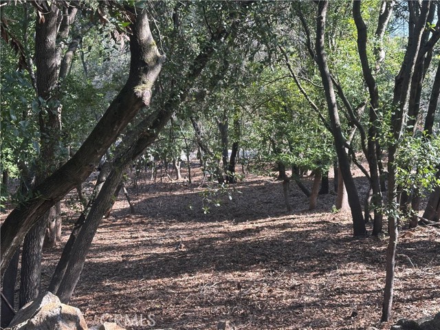 3470 Shoreline View Way, Kelseyville
