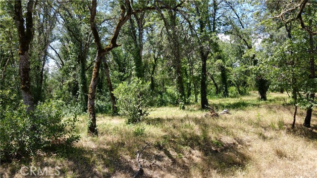 1343 Shady Lane, Lakeport