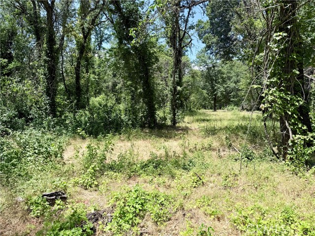 1343 Shady Lane, Lakeport