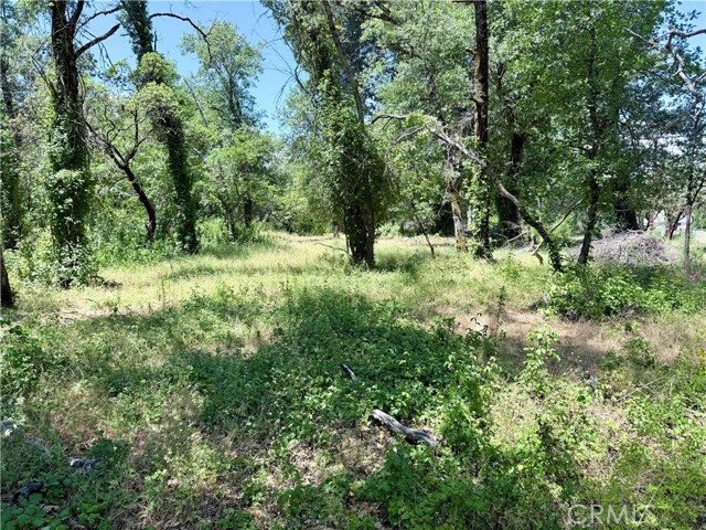 1343 Shady Lane, Lakeport